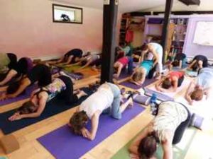 Shree Yoga Studios Anusara School Of Hatha Yoga Anusara School Of Hatha Yoga