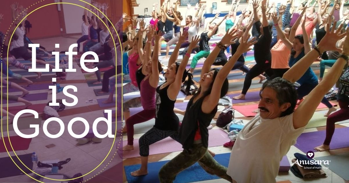 YogaVibes - Anusara School of Hatha Yoga